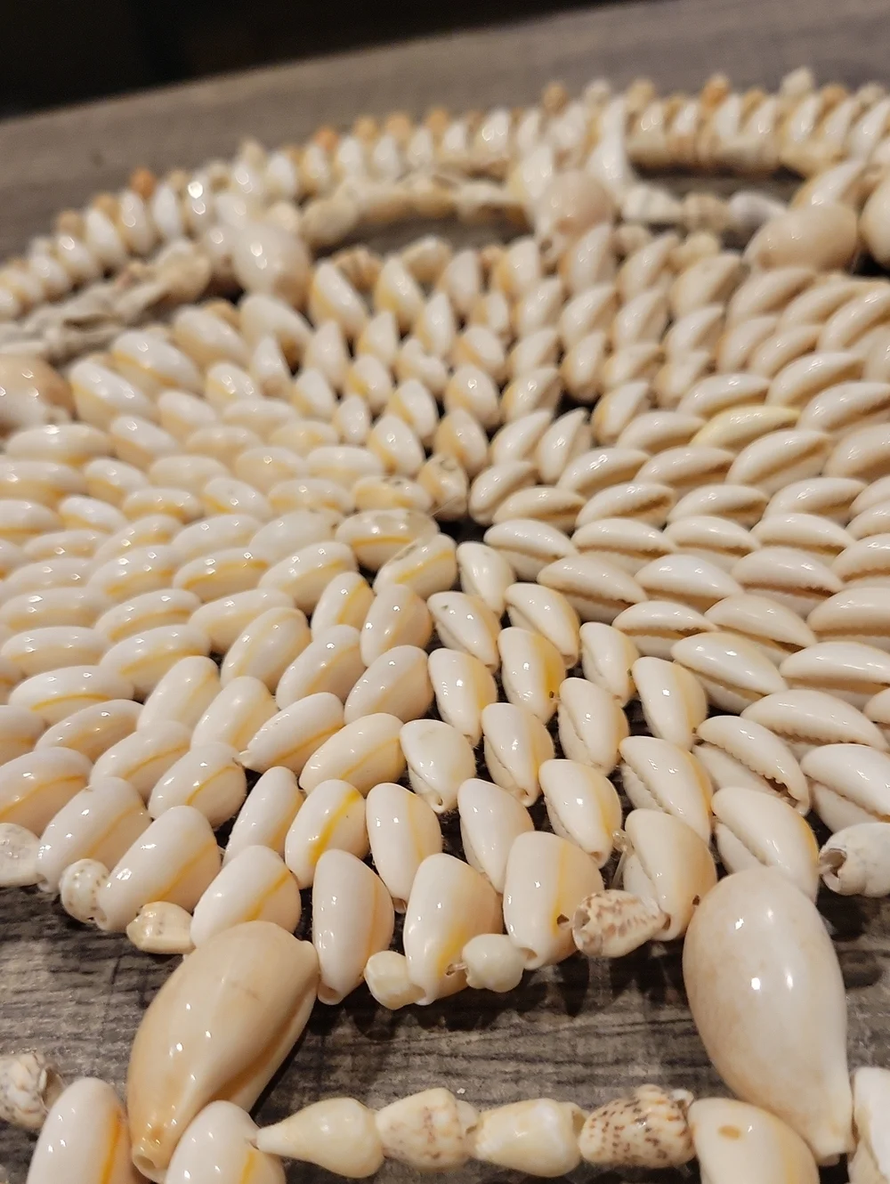 Cowrie Shell Trivet Or Plant Doilie:) EUC / 11 Inches Across